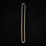 1024 4023 PEARL NECKLACE
